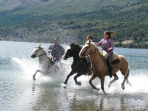 Cabalgata con vista al Cerro López - Aventura entre bosques y miradores del Circuito Chico - Image 2