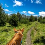 Cabalgata por Coihues: Recorrido a Caballo en Pleno Corazón de la Patagónica