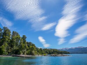 Isla Victoria y Bosque de Arrayanes con Transporte - Imagen 2