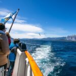 Navegación por Nahuel Huapi: Isla Victoria y Bosque de Arrayanes sin transporte