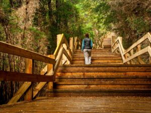 Cascada “Los Cantaros” y Puerto Blest Sin Traslado - Imagen 5