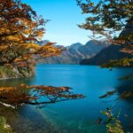 Puerto Blest y Cascada "Los Cantaros" con transporte