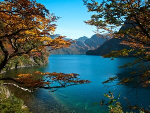 Cascada “Los Cantaros” y Puerto Blest Sin Traslado - Imagen 3