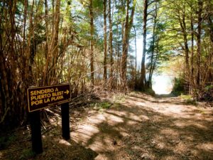 Cascada “Los Cantaros” y Puerto Blest Sin Traslado - Imagen 2