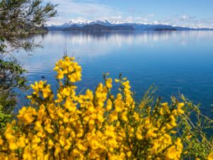 Paquete especial de 3 días de excursión - Imagen 4