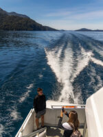 Navegación por Nahuel Huapi: Isla Victoria y Bosque de Arrayanes sin transporte - Imagen 2