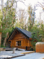 Navegación por Nahuel Huapi: Isla Victoria y Bosque de Arrayanes sin transporte - Imagen 5