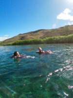 Rafting en Río Limay desde Bariloche: Paisaje, Emoción y Estepa Patagónica - Image 4