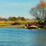 Rafting en Río Limay desde Bariloche: Paisaje, Emoción y Estepa Patagónica