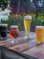 Traslado Cervecería Patagonia: Cerveza artesanal y vistas únicas - Imagen 4